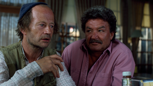 640x360-Beachcombers