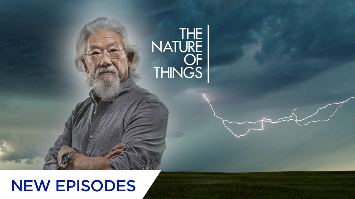 The Nature of Things