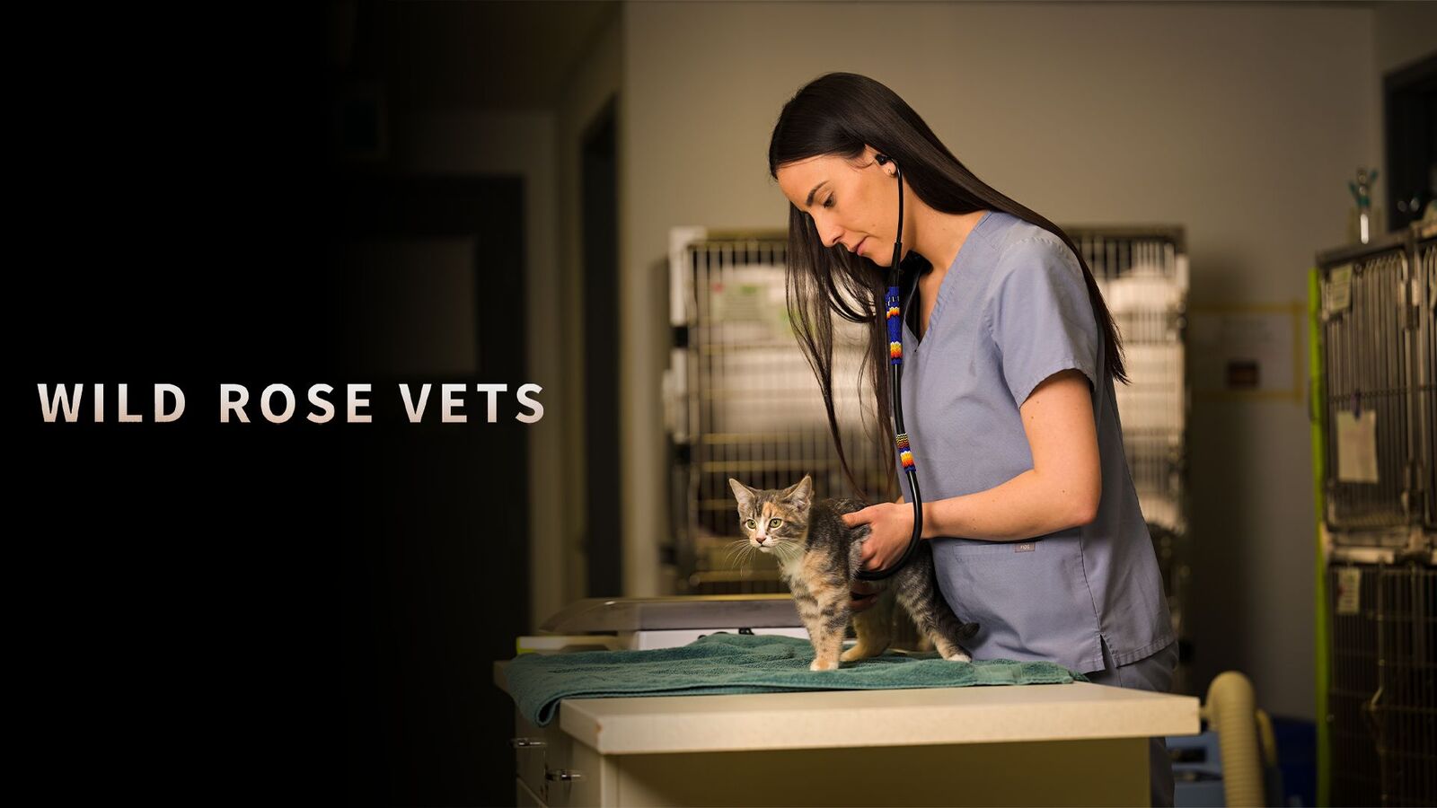 Wild Rose Vets