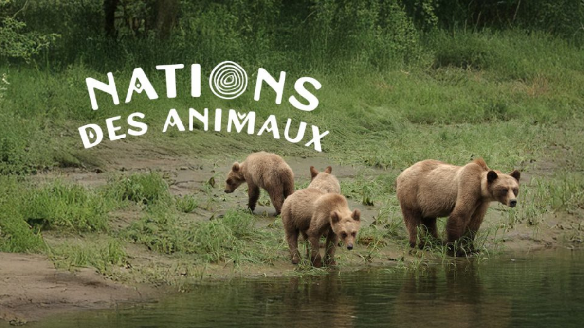 Nations des Animaux