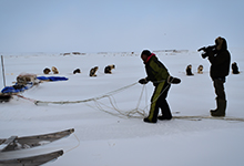 Episode 10- Qimuksiutiit